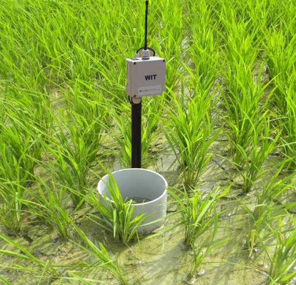 AWD tube in field