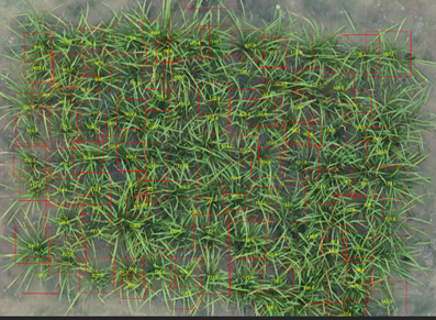 Results of plant counting using a pretrained model.
