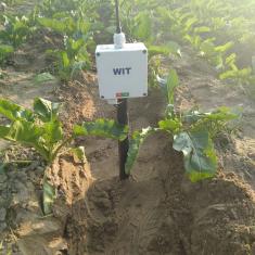 Soil moisture sensor in Okara District, Punjab